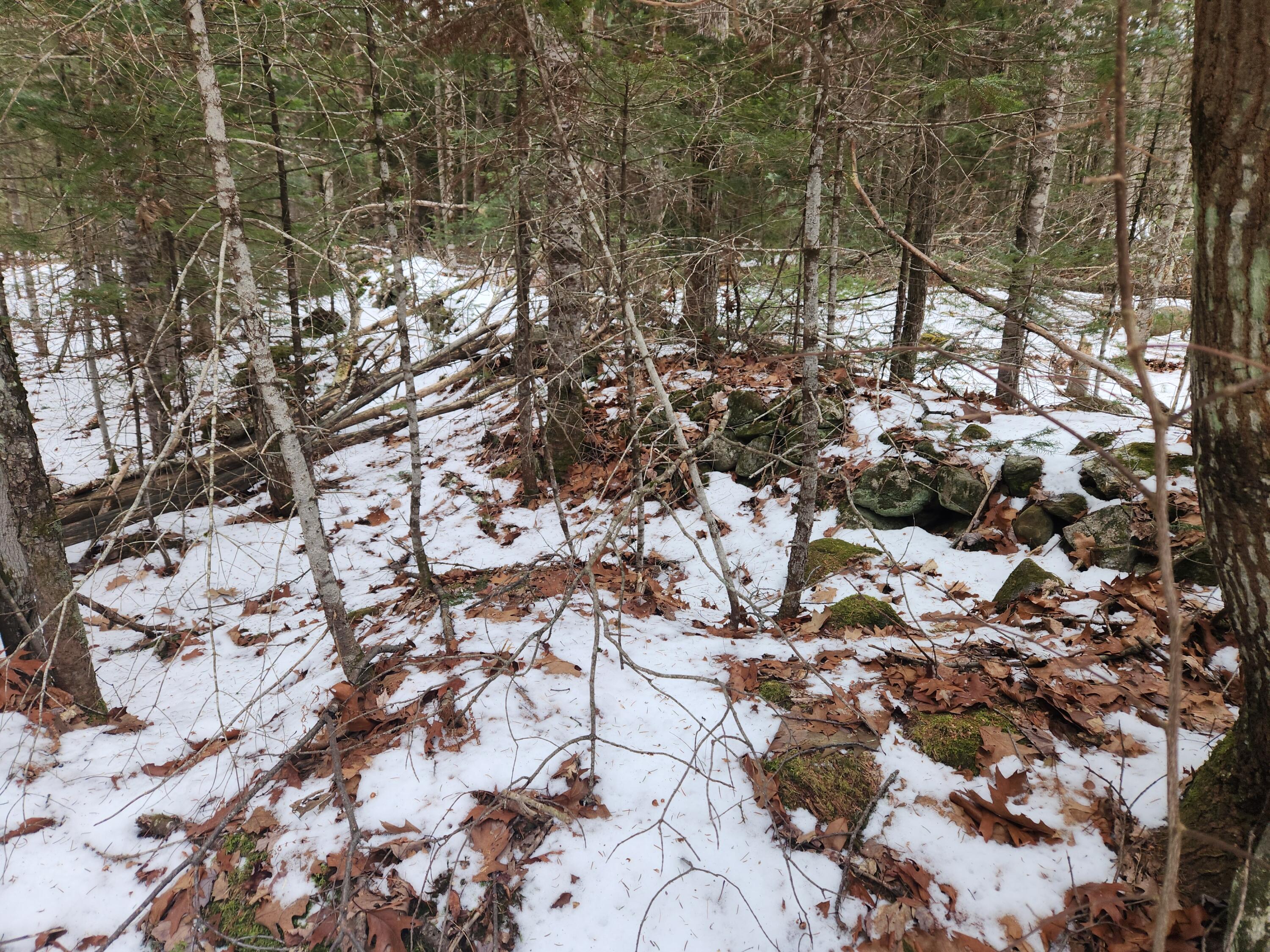 18 Back Bryant Road Buckfield, ME 04220 - Photo 16 of 19 20251223_105646