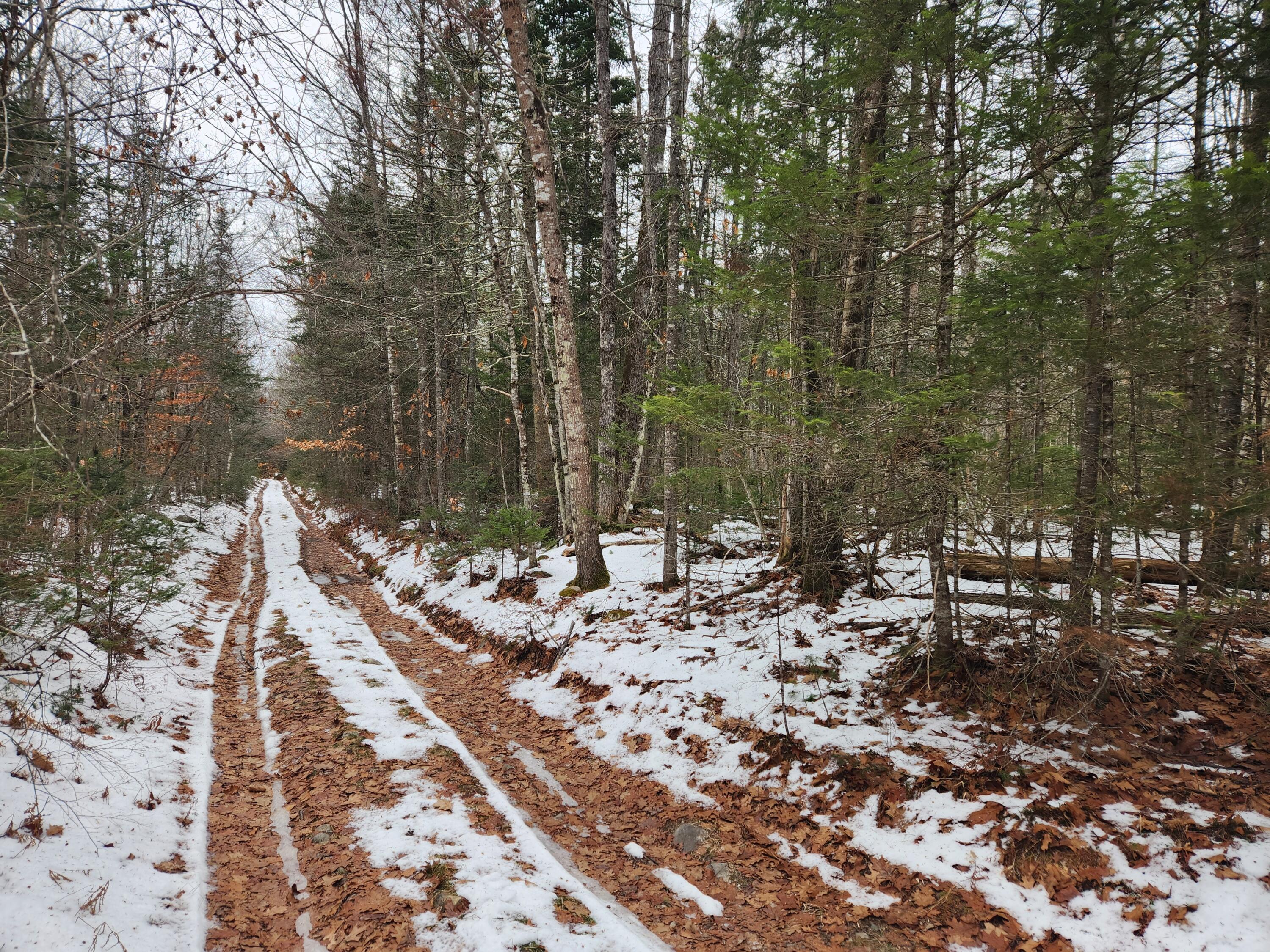 18 Back Bryant Road Buckfield, ME 04220 - Photo 18 of 19 20251223_105708