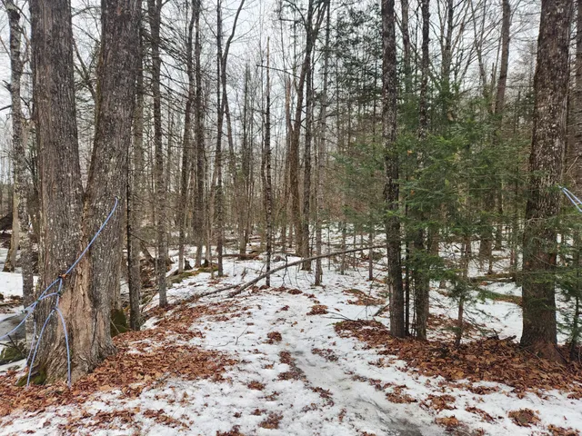 $35,000 | 13 Back Bryant Road, Buckfield, ME 04220