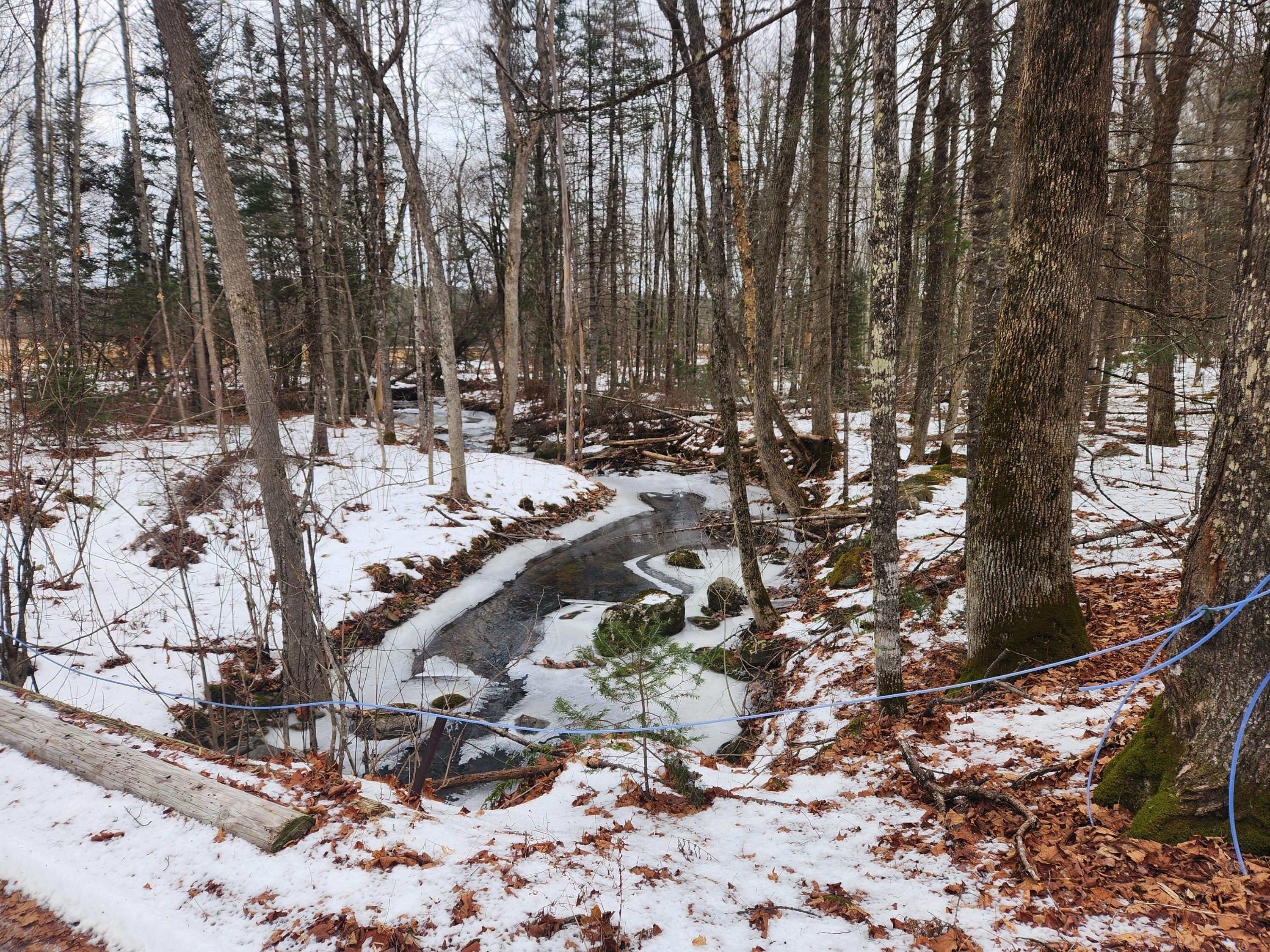 18 Back Bryant Road Buckfield, ME 04220 - Photo 4 of 19 20251223_104636