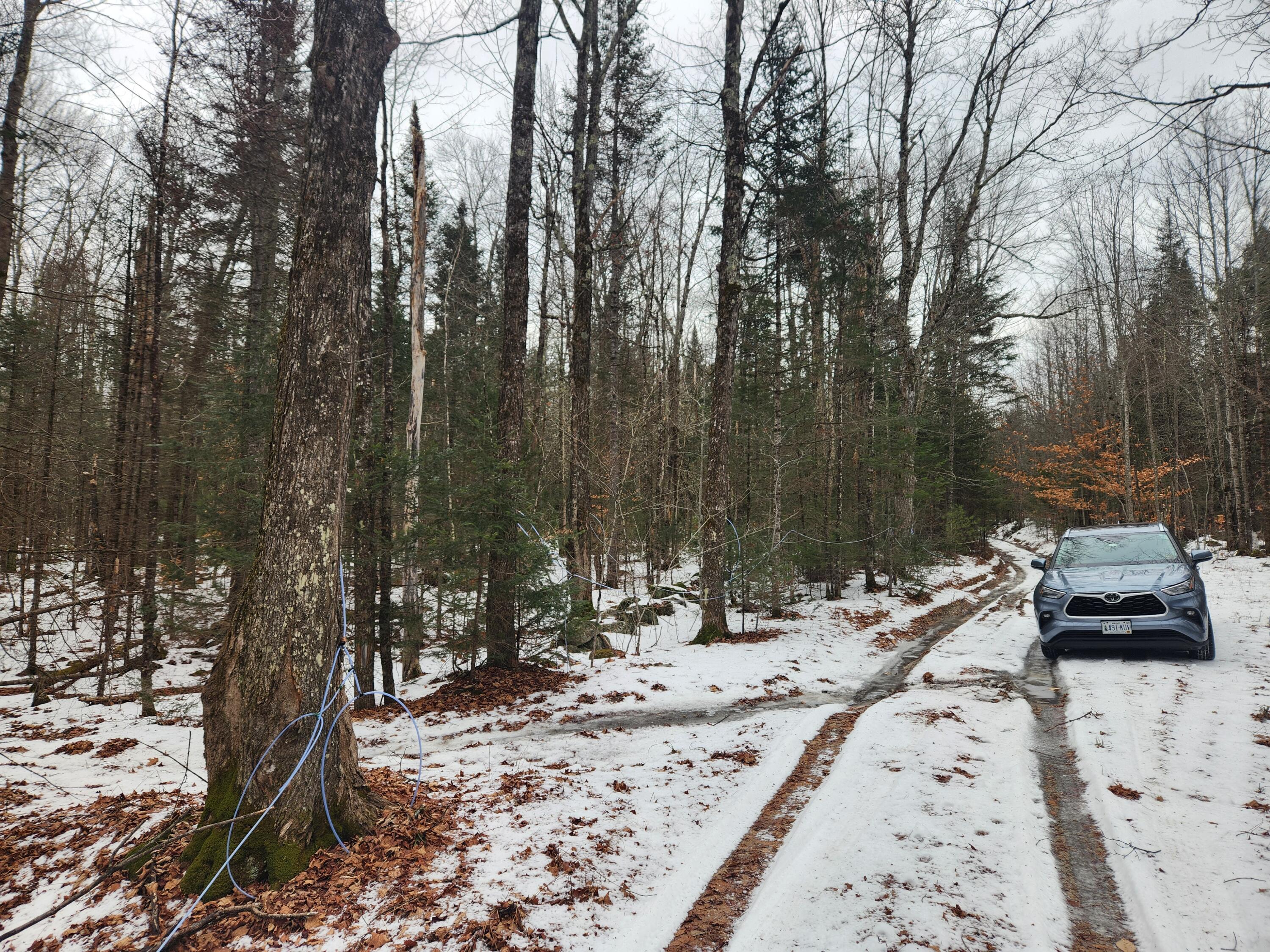 18 Back Bryant Road Buckfield, ME 04220 - Photo 6 of 19 20251223_104648