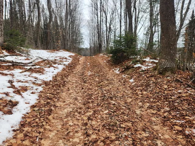 $35,000 | 13 Back Bryant Road, Buckfield, ME 04220