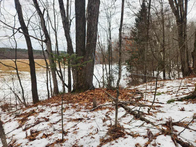 $35,000 | 13 Back Bryant Road, Buckfield, ME 04220