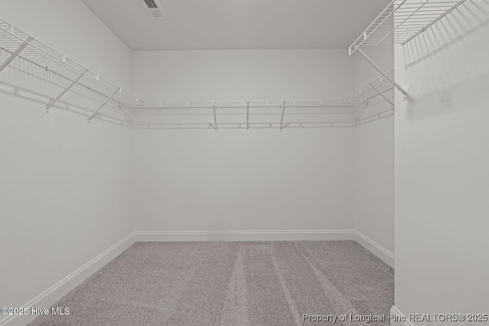 200 Dove Road Cameron, NC 28326 - Photo 35 of 46 a empty closet with white paint