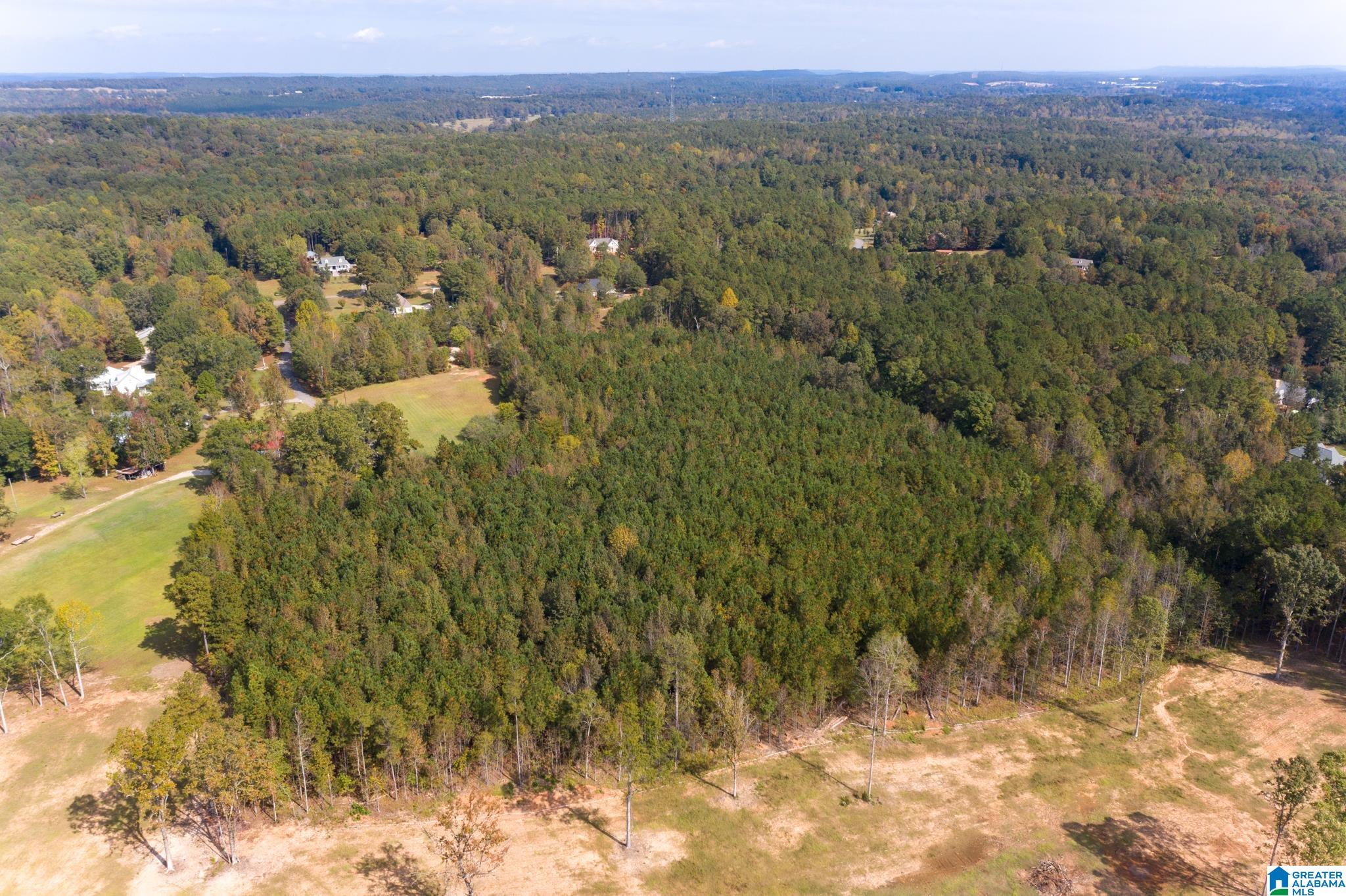 0 Olde S Spur McCalla, AL 35111 - Photo 16 of 25