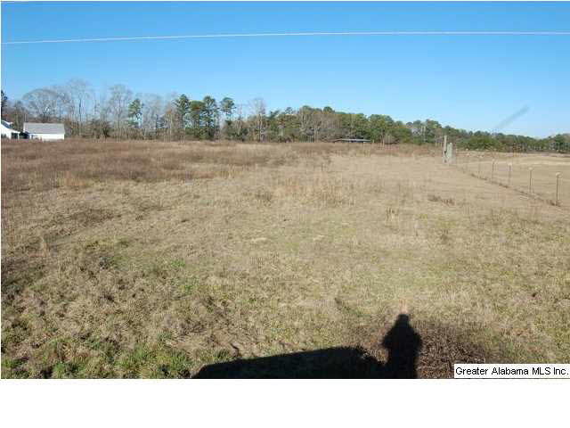 993 County Road, Unit 8/13/12 Clanton, AL 35045 - Photo 4 of 9