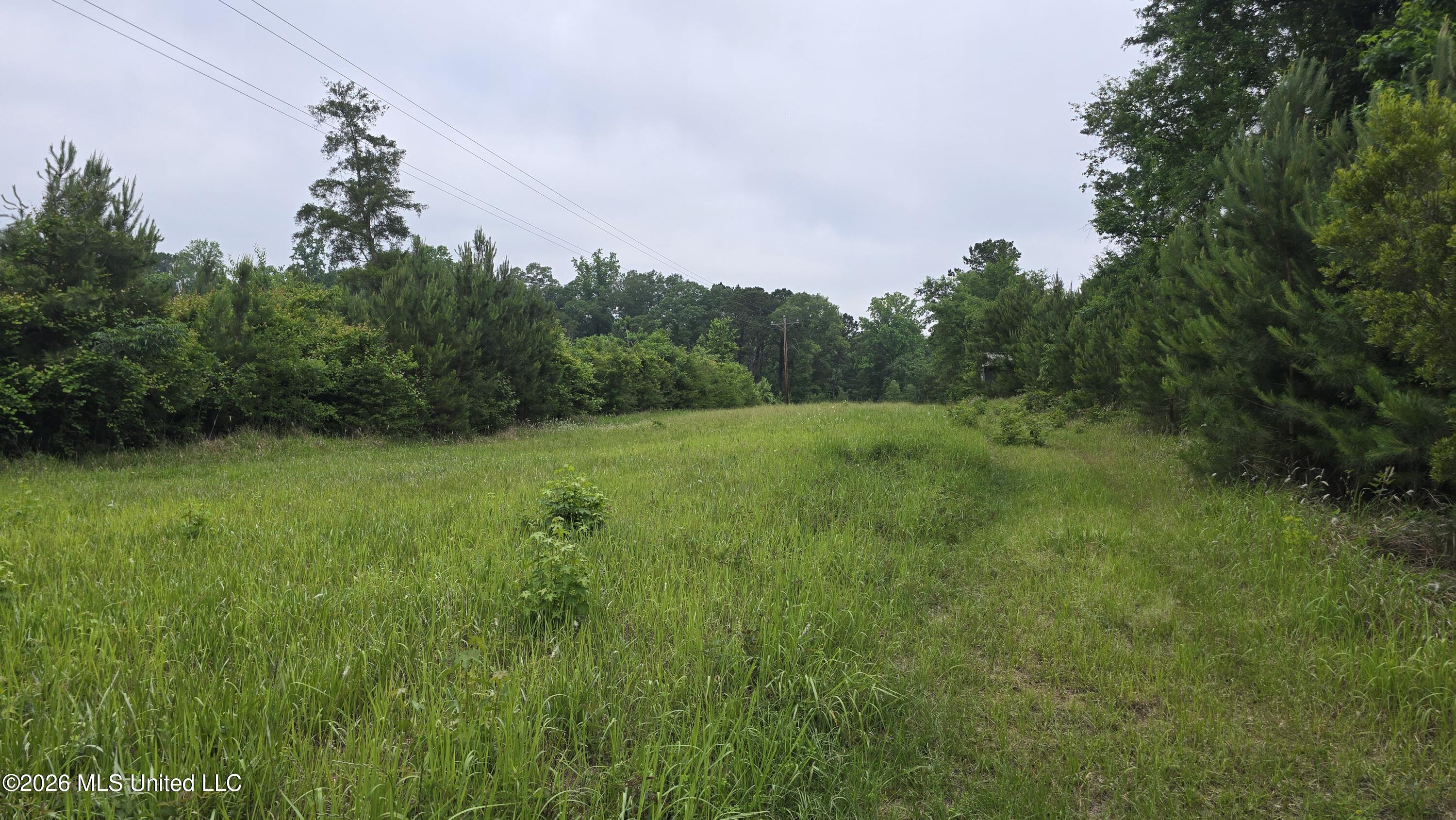 189 Co Road Bay Springs, MS 39422 - Photo 7 of 61 20260513_103041