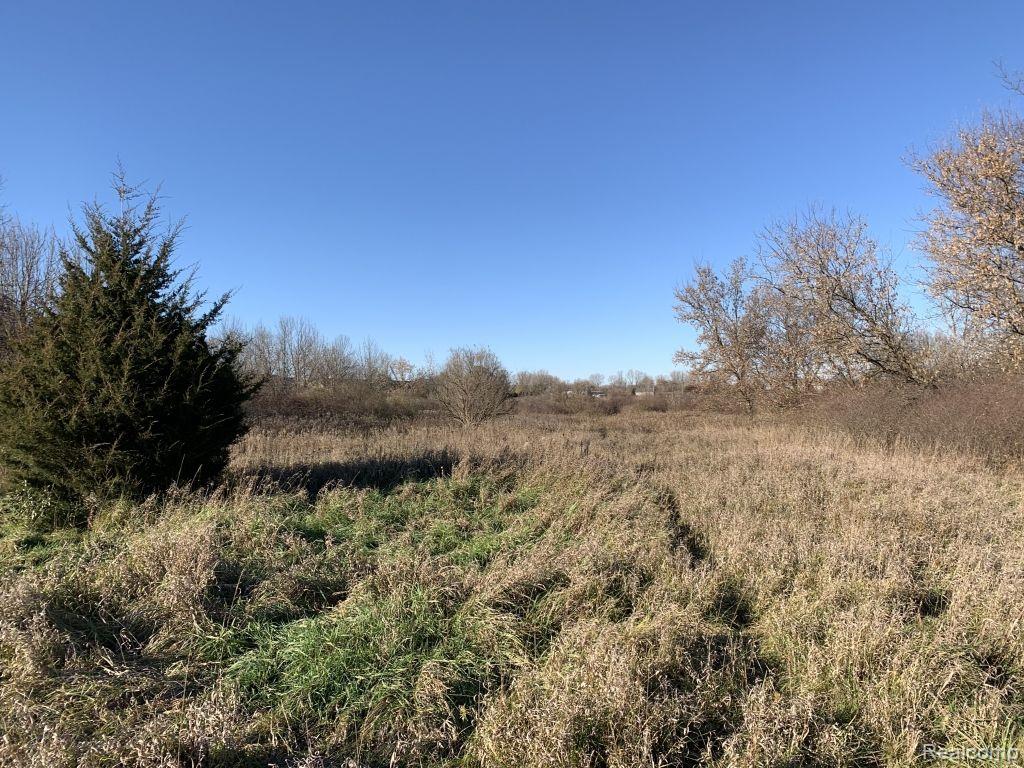 0 Reek Road Imlay City, MI 48444 - Photo 12 of 19