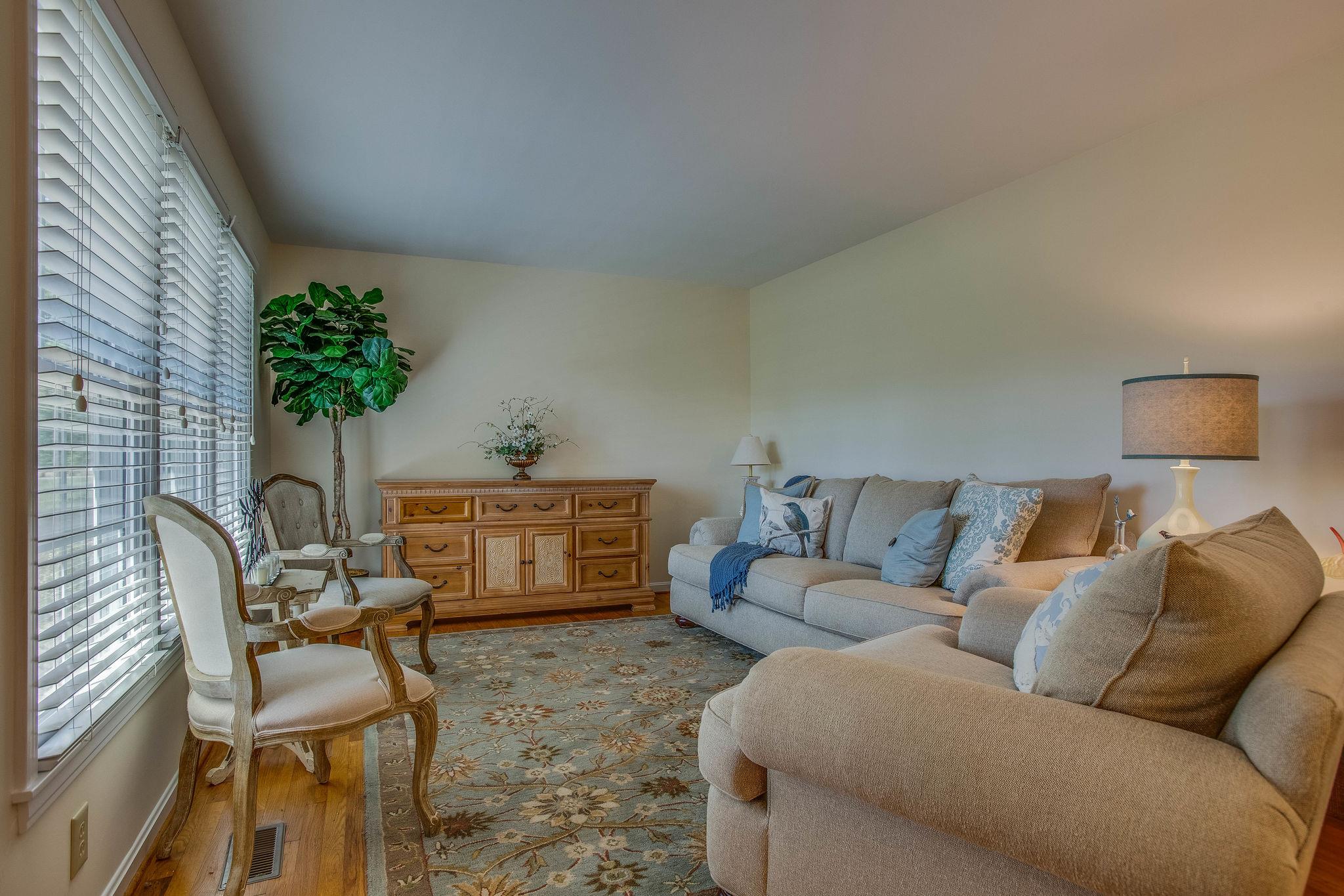 2173 Double Branch Road Columbia, TN 38401 - Photo 4 of 17 a living room with furniture and a potted plant