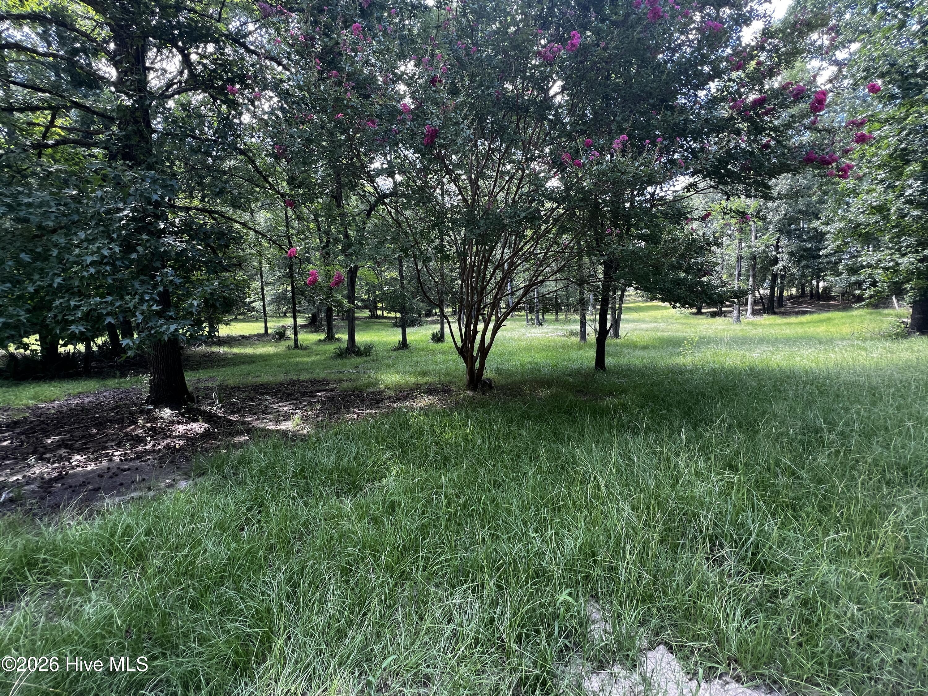 1045 Fortson Road Lincolnton, GA 30817 - Photo 4 of 7 Gallery Image 4