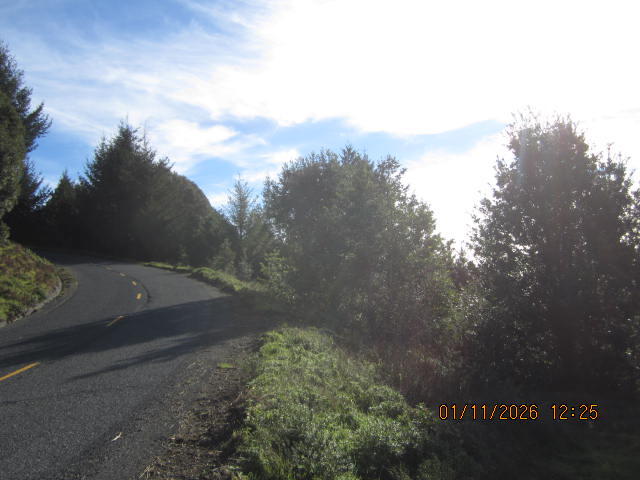 2715 Toth Road Shelter Cove, CA 95589 - Photo 26 of 27 IMG_0783