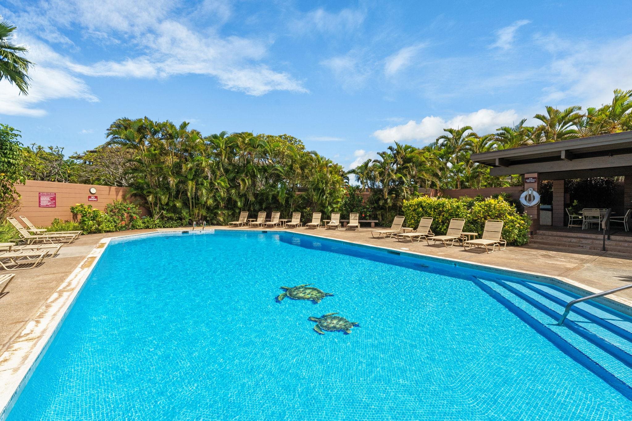 100 Ridge Road, Unit 2511 Lahaina, HI 96761 - Photo 36 of 50 Gallery Image 36