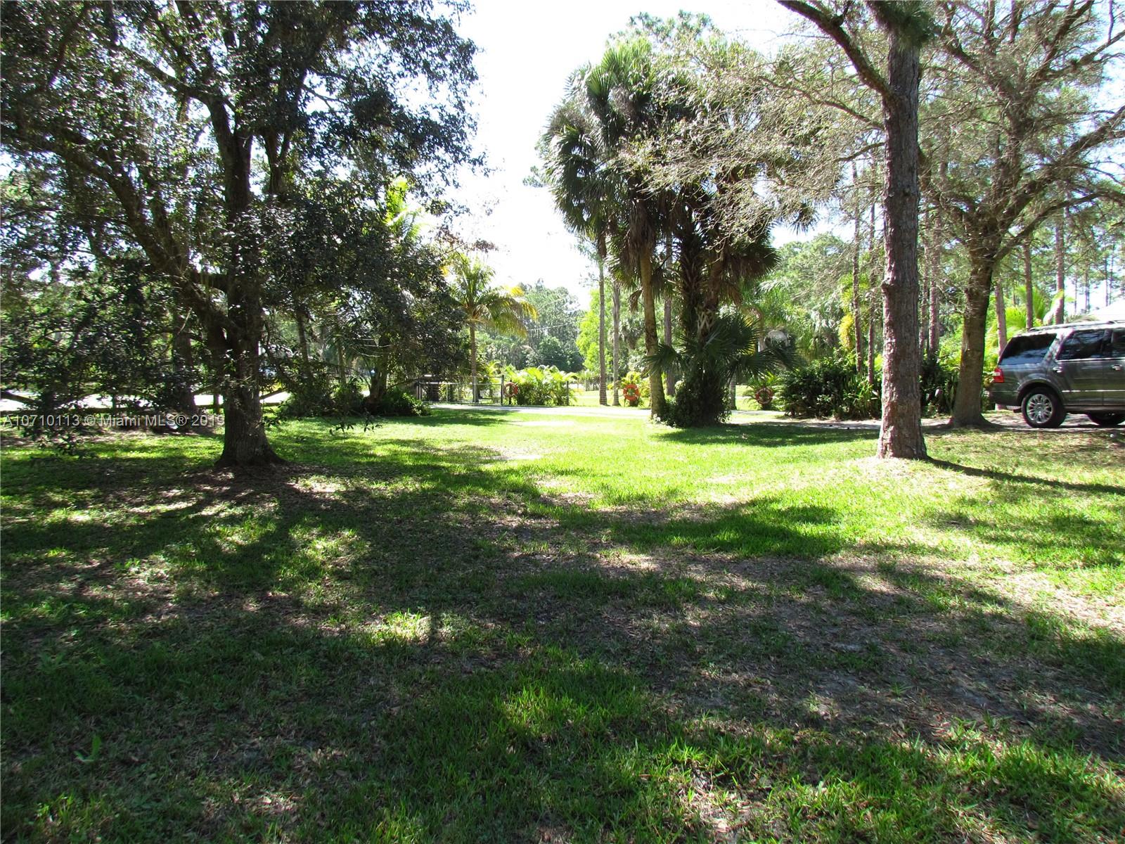 10825 Sandy Run Road Jupiter, FL 33478 - Photo 4 of 31 a view of a trees with a yard