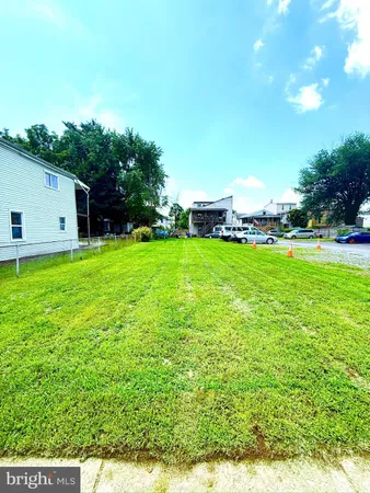 a view of a backyard with plants and a garden