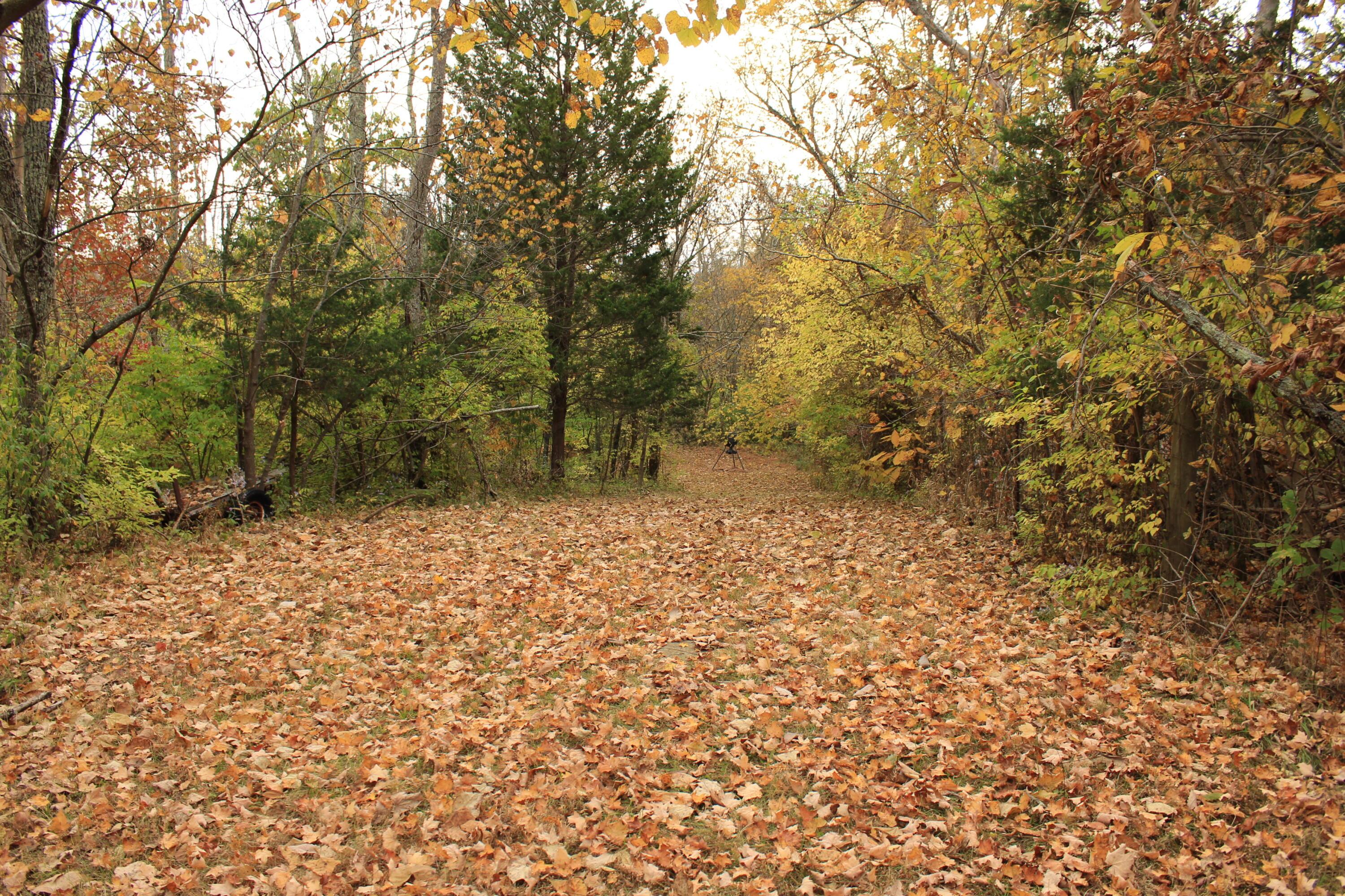 1316 Buttermilk Run Road Manchester, OH 45144 - Photo 95 of 107 96
