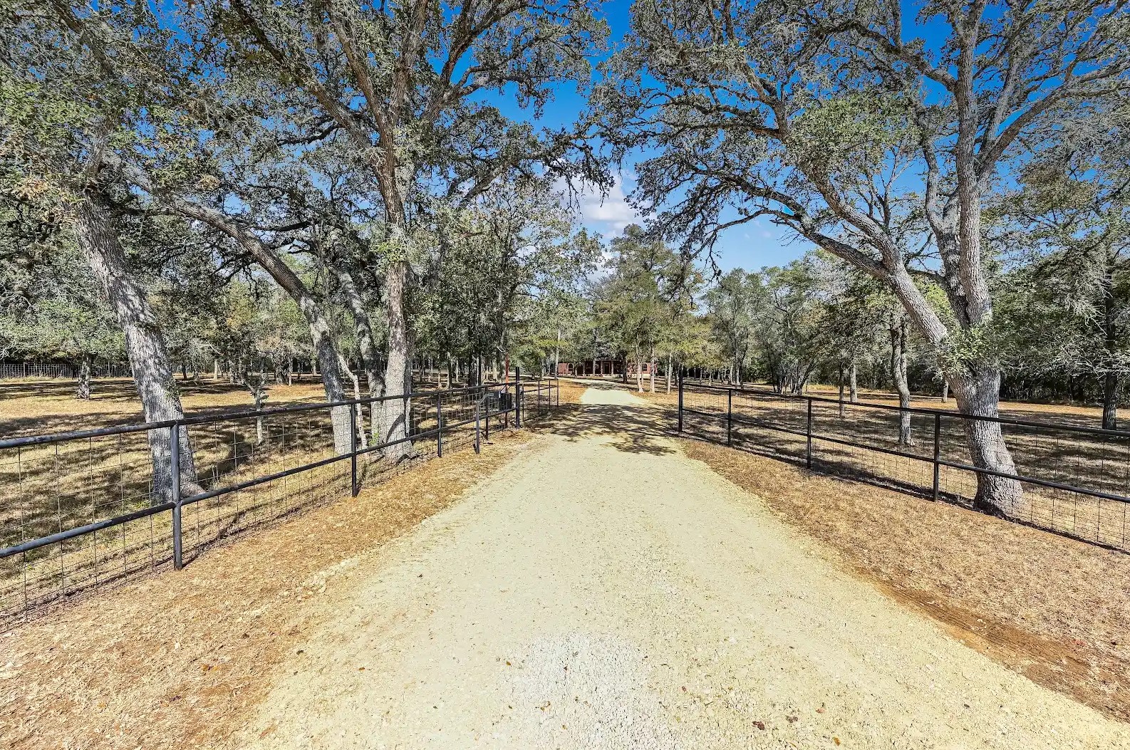 486 Westwood Road Lockhart, TX 78644 - Photo 3 of 29 View of street with a view of rural / pastoral area