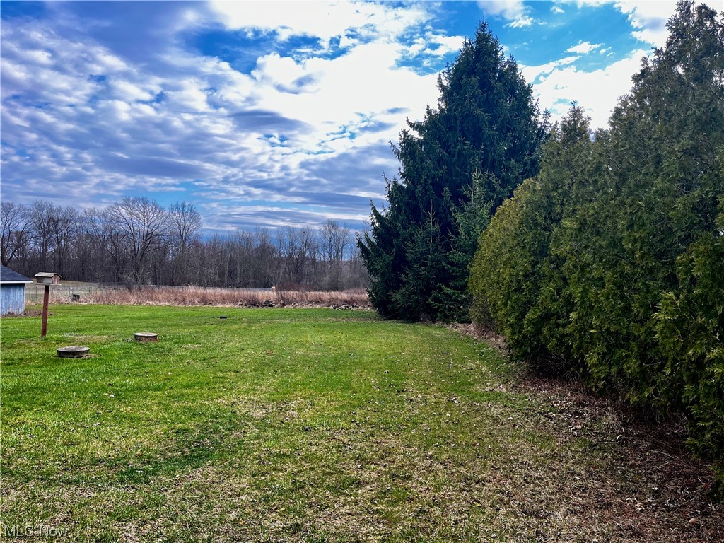 16771 Kinsman Road Middlefield, OH 44062 - Photo 25 of 27 Private Back Yard