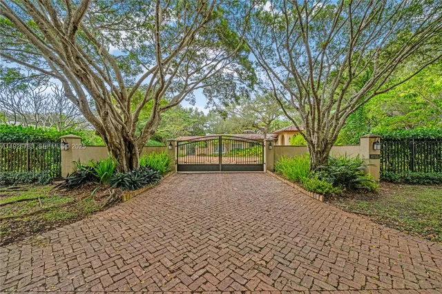 a view of a yard with plants and trees