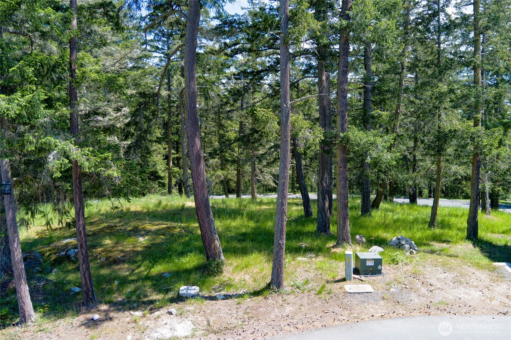 24 Mossyrock Road Friday Harbor, WA 98250 - Photo 6 of 30