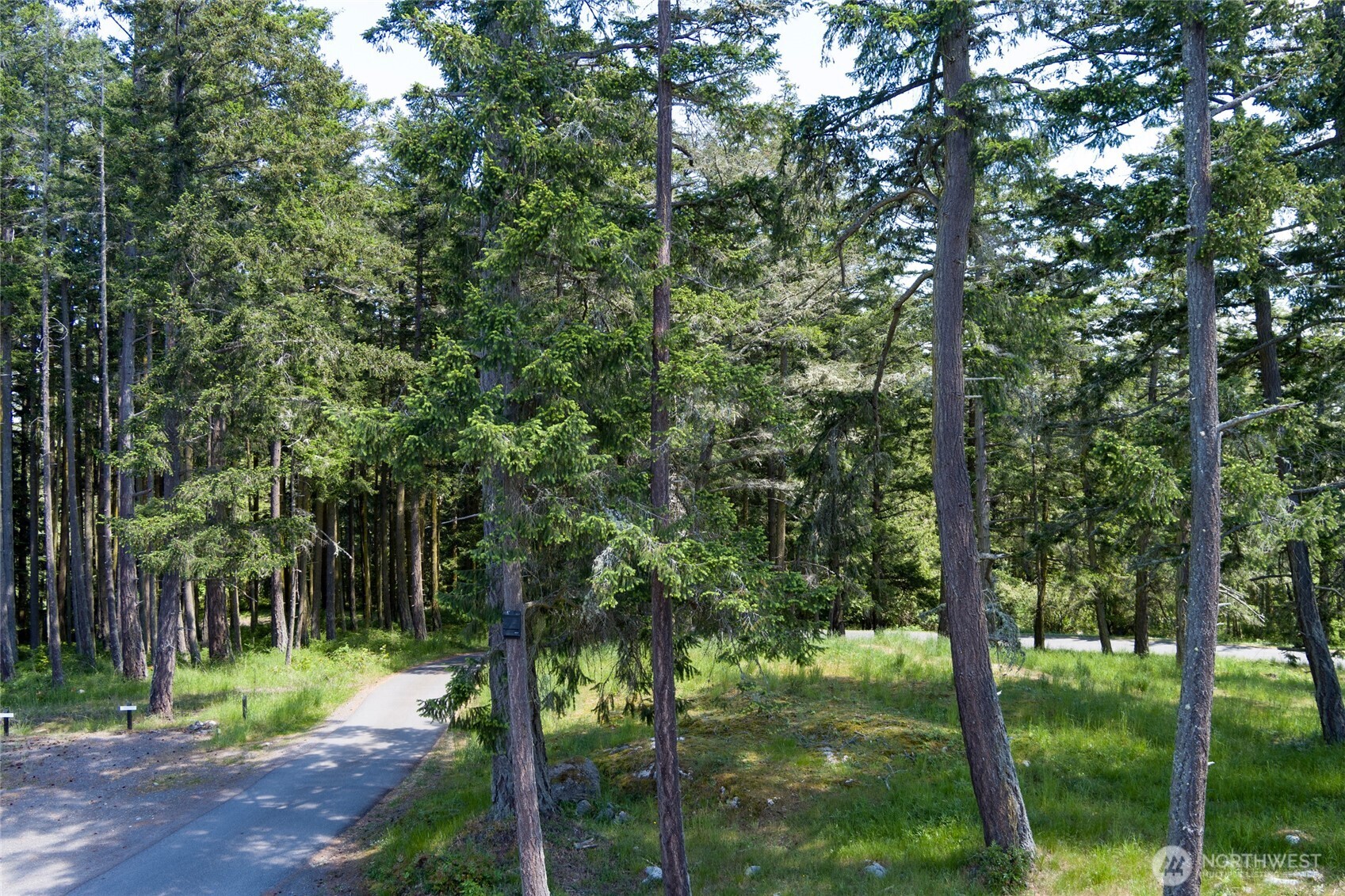 24 Mossyrock Road Friday Harbor, WA 98250 - Photo 10 of 30