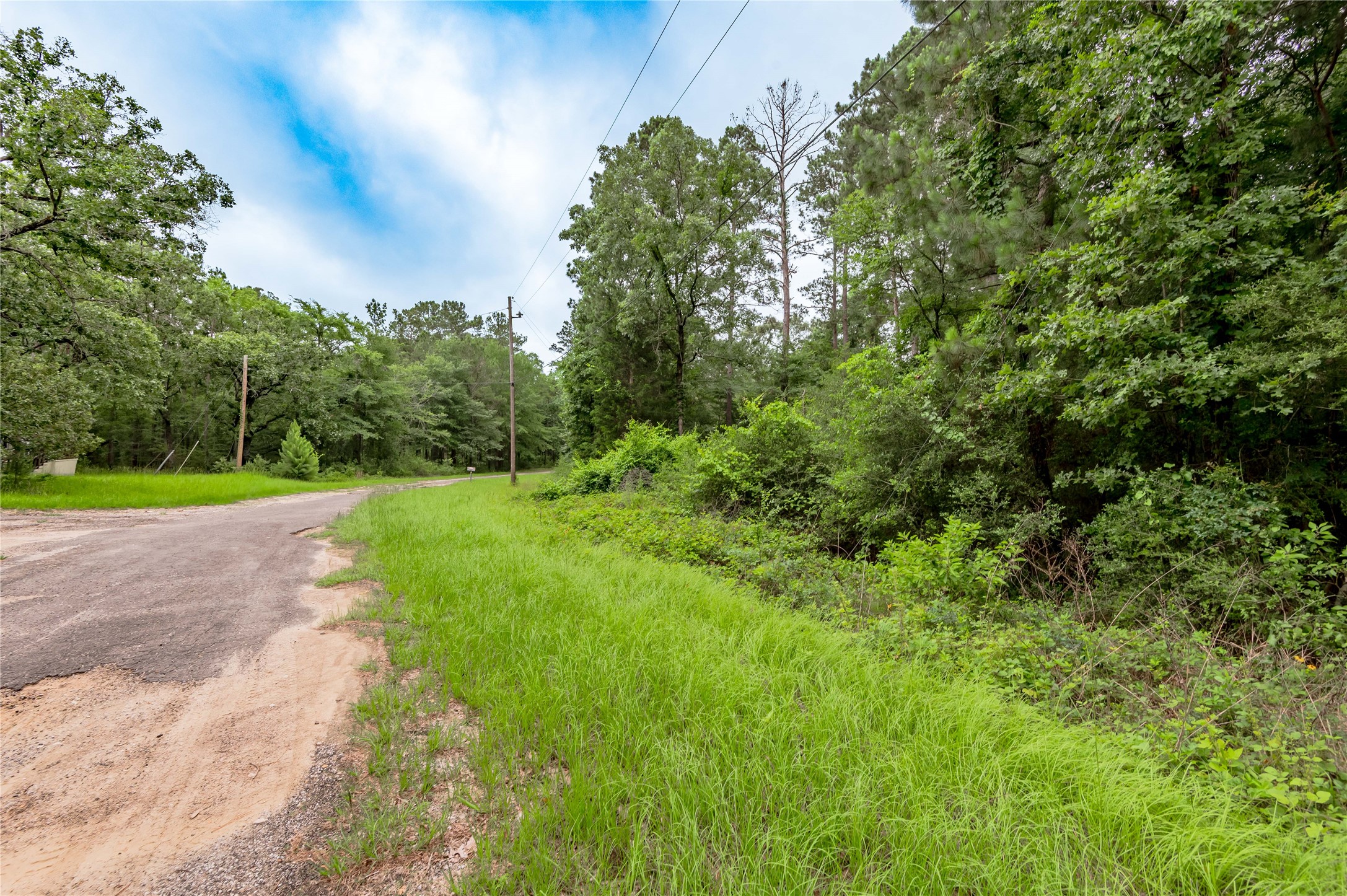 Lot 57 Post Oak Circle Trinity, TX 75862 - Photo 1 of 29