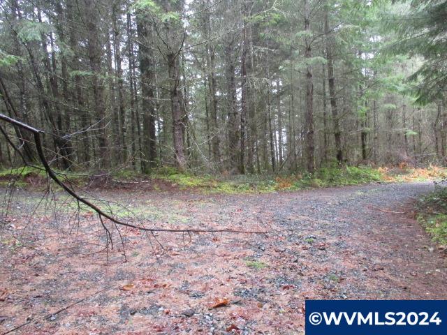 0 Zurfluh Road Scio, OR 97374 - Photo 11 of 14