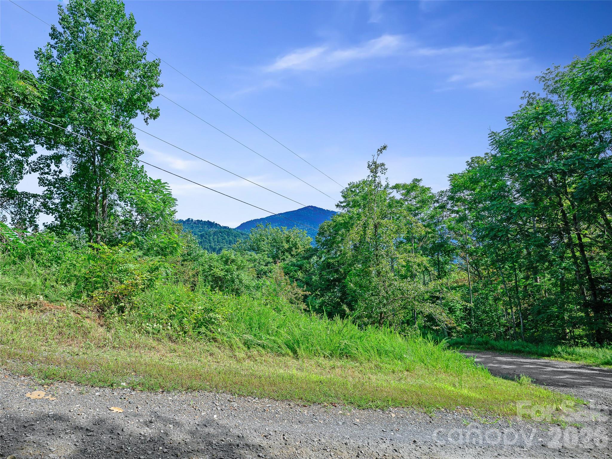 Lot #63-65 Lot#63-65 Bear Ridge Road Bakersville, NC 28705 - Photo 8 of 38 Gallery Image 8