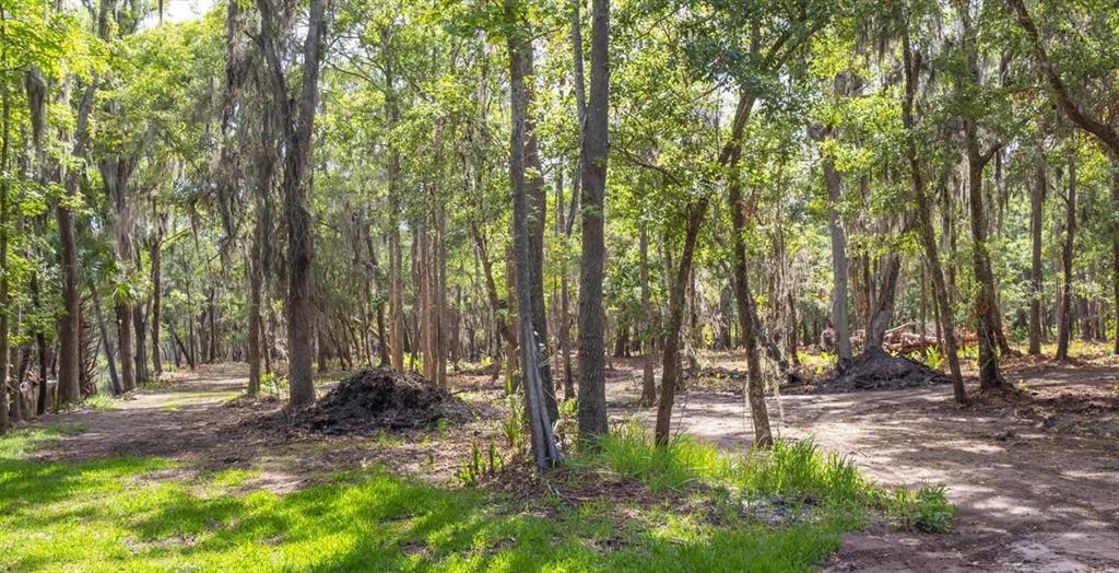 7149 Fitzpatrick Lane Jacksonville, FL 32226 - Photo 29 of 69