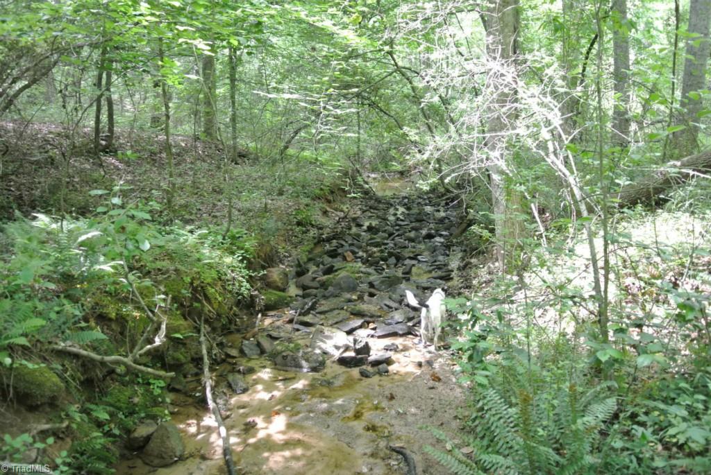 24-acres Precinct Road Pilot Mountain, NC 27041 - Photo 14 of 27 SHADOW IS CHECKING THINGS OUT