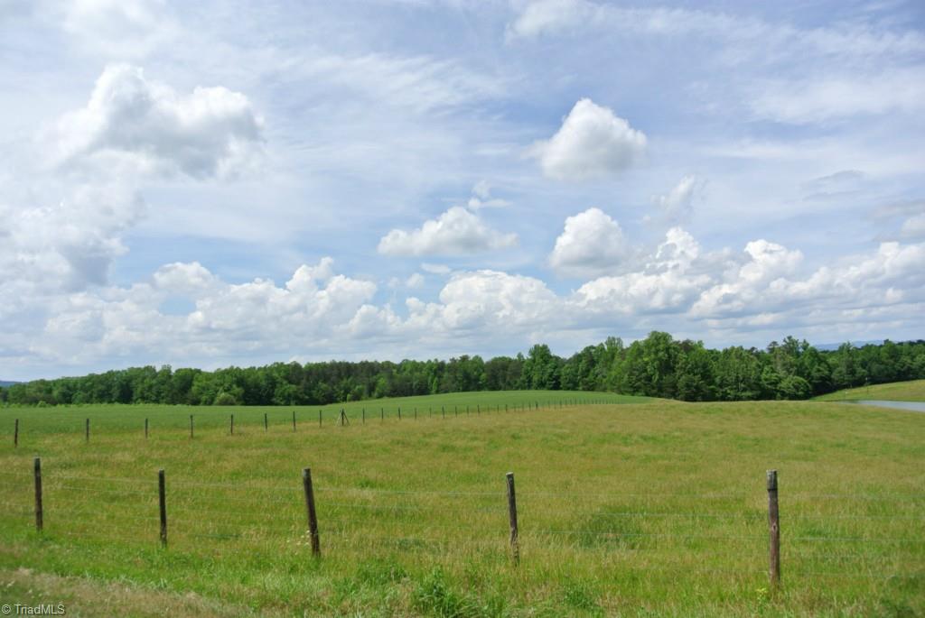 VIEW FROM NEIGHBORS FENCED LAND ON LEFT OF FENCE