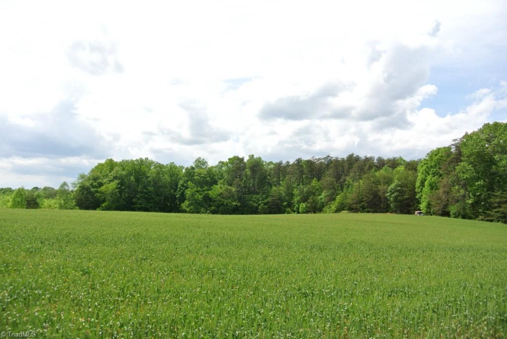 24-acres Precinct Road Pilot Mountain, NC 27041 - Photo 23 of 27 LOOKING FROM FILED TO WOODED AREA