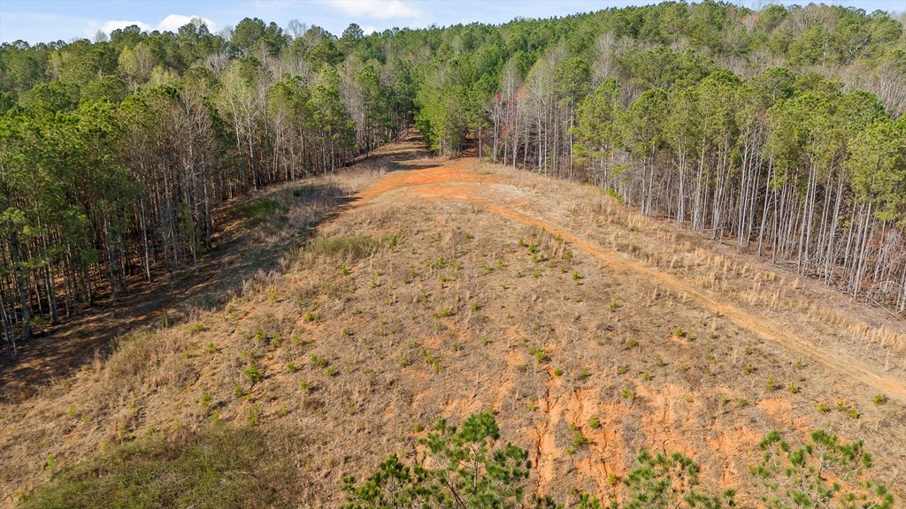 3 Carver Mill Road Jasper, GA 30143 - Photo 5 of 46 Gallery Image 5