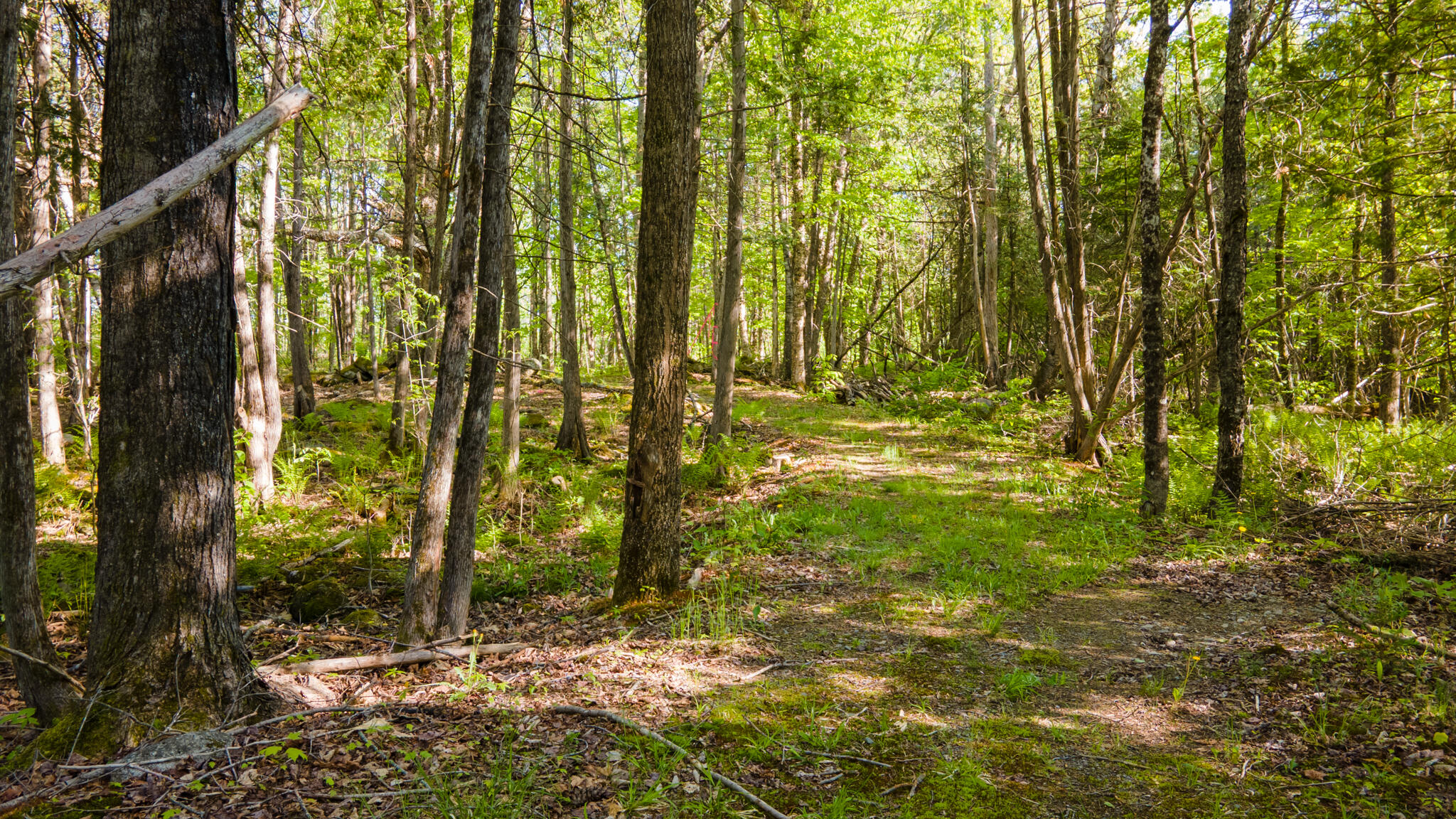 34 Mcphetres Road Sangerville, ME 04479 - Photo 28 of 91 20250528-DJI_0881-HDR