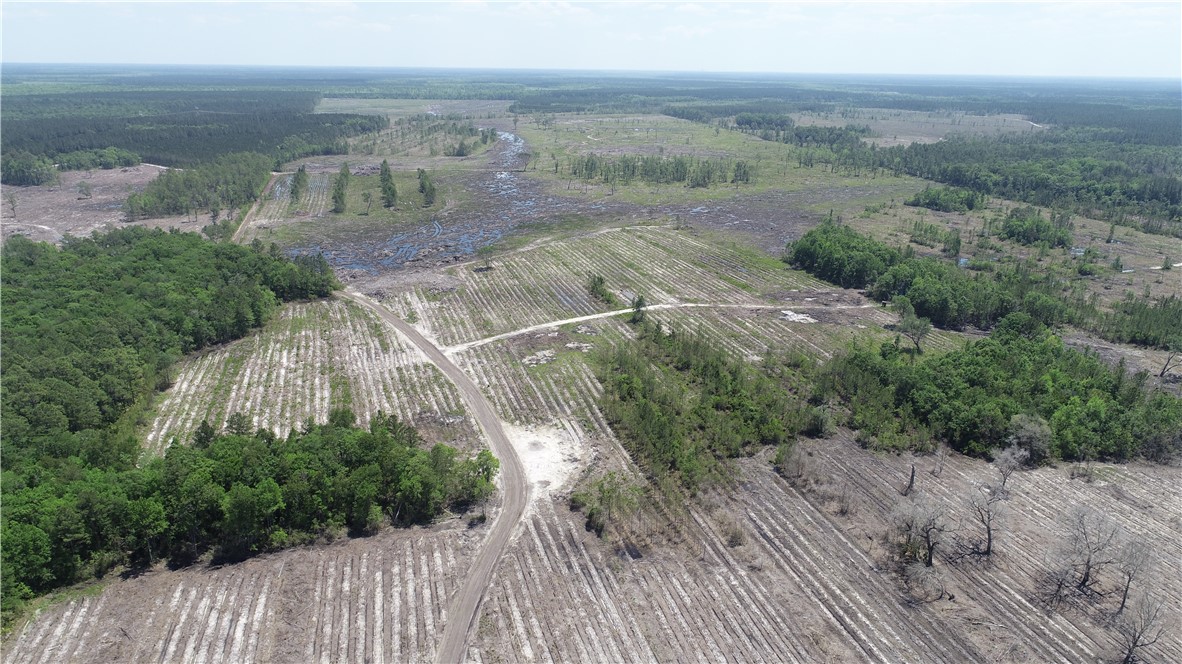 0 Old Post Road Hortense, GA 31543 - Photo 1 of 1