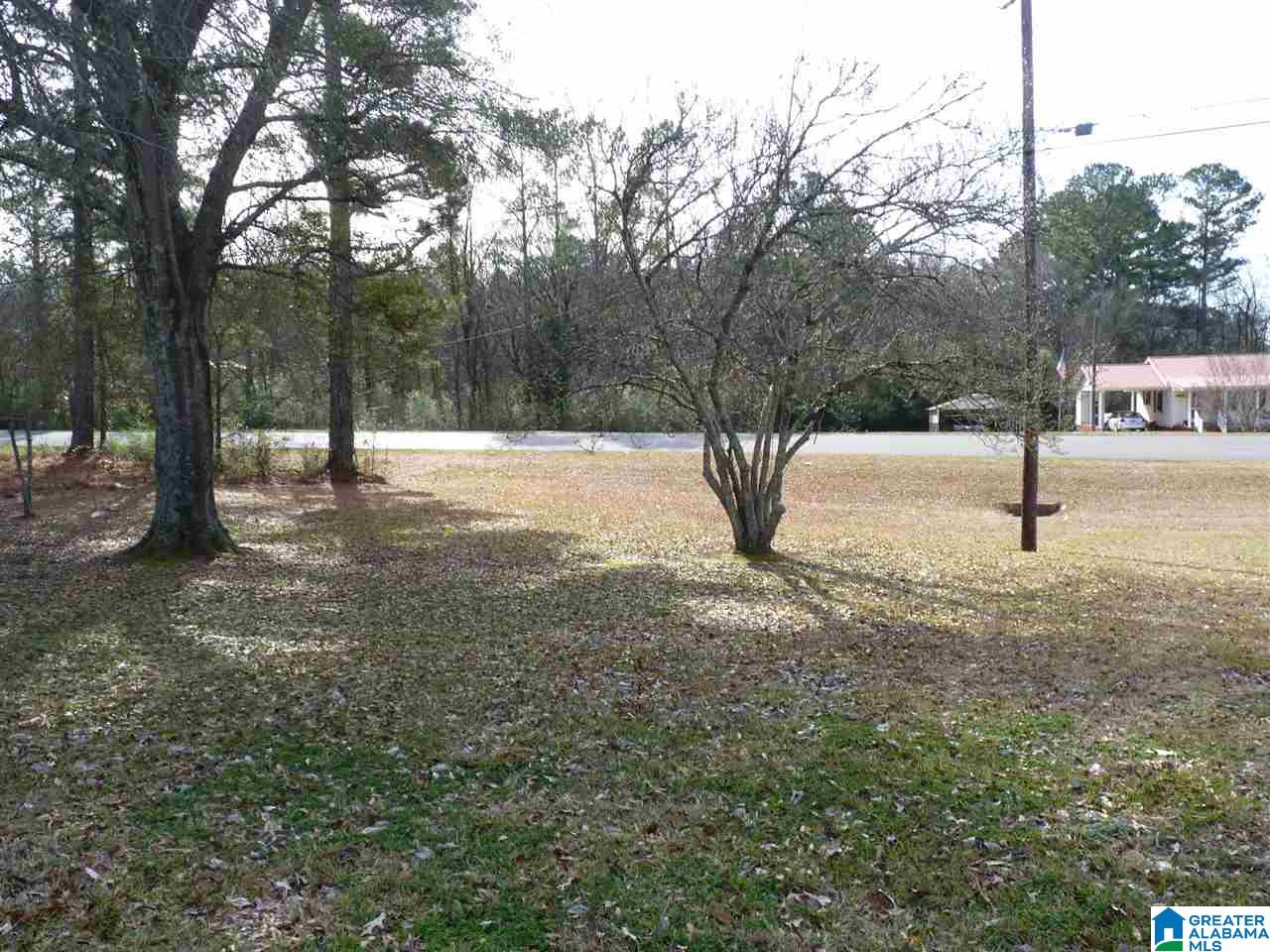 580 Brecon Access Road Talladega, AL 35160 - Photo 3 of 33