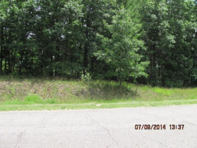W County Line Rd. Summer