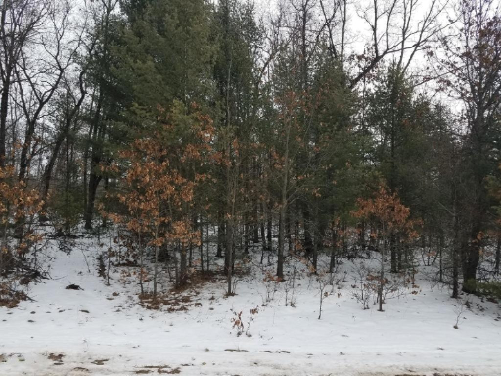 V/l West County Line Road Newaygo, MI 49337 - Photo 2 of 3 W County Line Rd