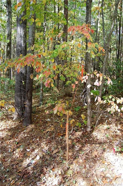 0 Ducketts Grove Road, Unit 4 Fletcher, NC 28732 - Photo 5 of 8 Gallery Image 5