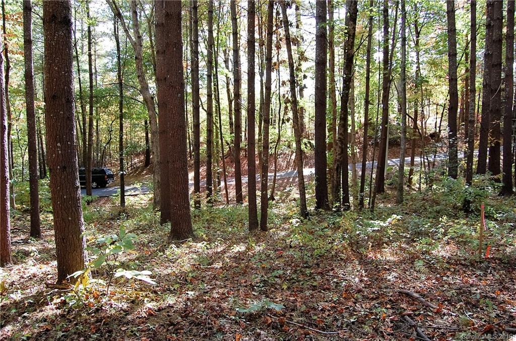 0 Ducketts Grove Road, Unit 4 Fletcher, NC 28732 - Photo 7 of 8 Gallery Image 7