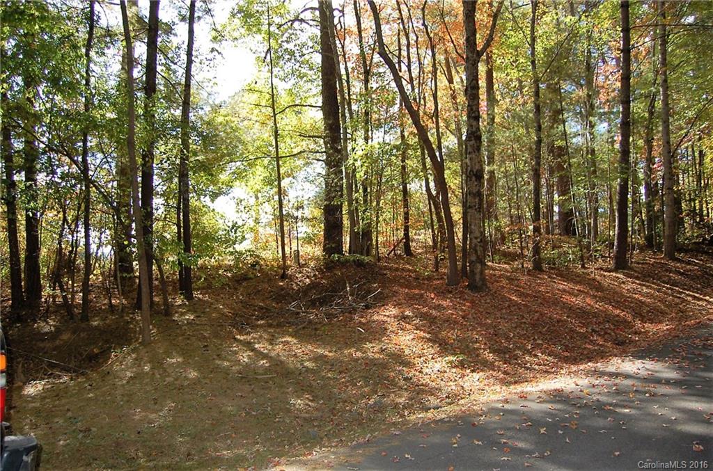 0 Ducketts Grove Road, Unit 4 Fletcher, NC 28732 - Photo 8 of 8 Gallery Image 8