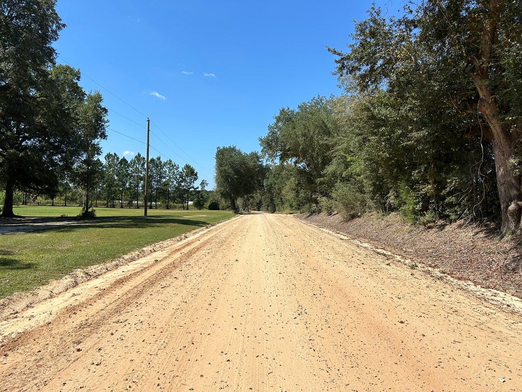 1.9-ac Barnes Road Gordon, AL 36343 - Photo 6 of 28