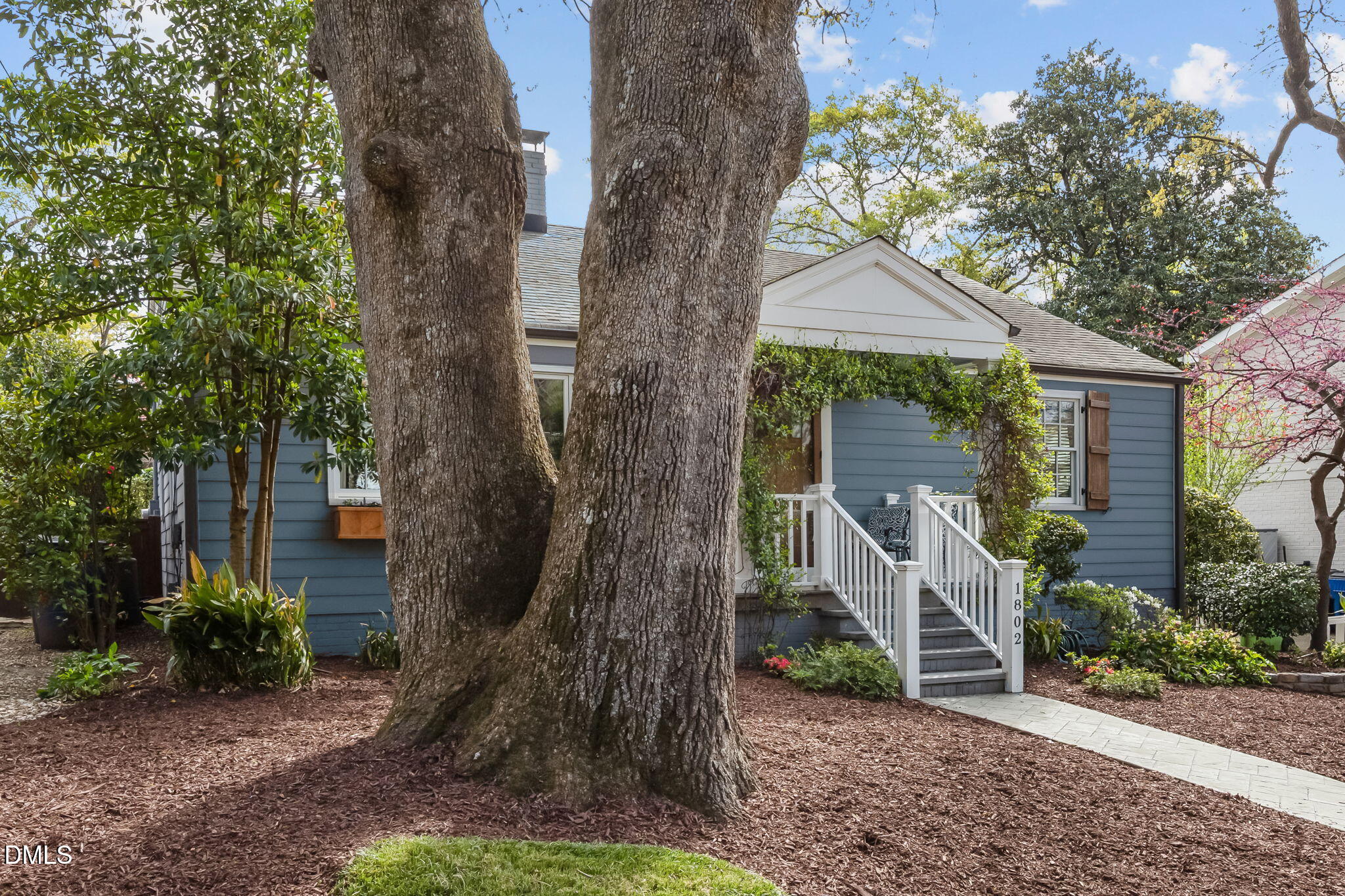 1802 Pineview Street Raleigh, NC 27608 - Photo 40 of 42 49-web-or-mls-IMG_6770