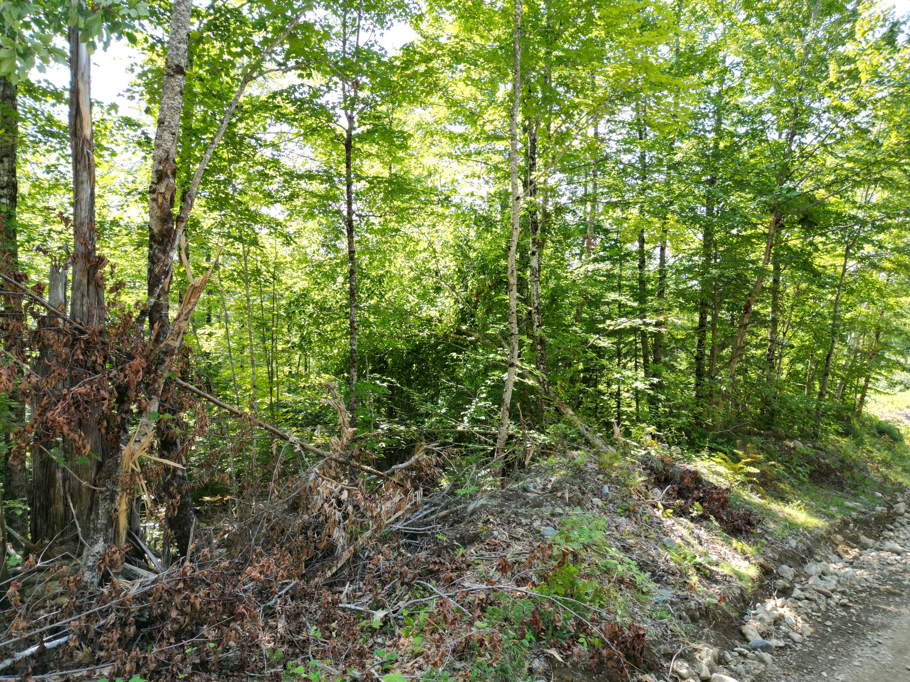 Lot 5 Dirty Glove Road Springfield, ME 04487 - Photo 15 of 19 DJI_0054