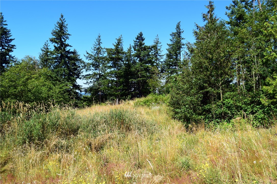 8366 North Pass Road Everson, WA 98247 - Photo 2 of 7