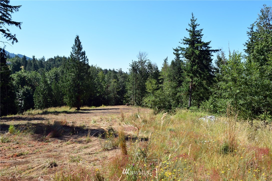 8366 North Pass Road Everson, WA 98247 - Photo 3 of 7