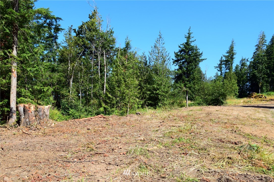 8366 North Pass Road Everson, WA 98247 - Photo 4 of 7