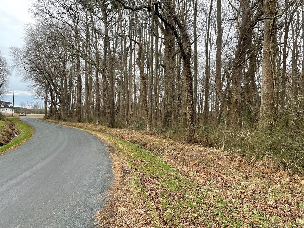 5-lots 5-lots Stone House Road Onley, VA 23418 - Photo 4 of 11