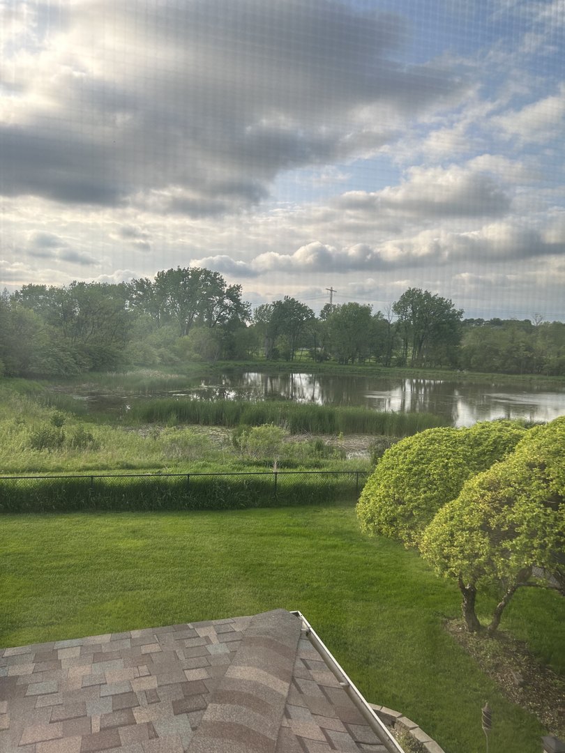 527 Springwood Lane Bolingbrook, IL 60440 - Photo 35 of 35 a view of a lake with a big yard
