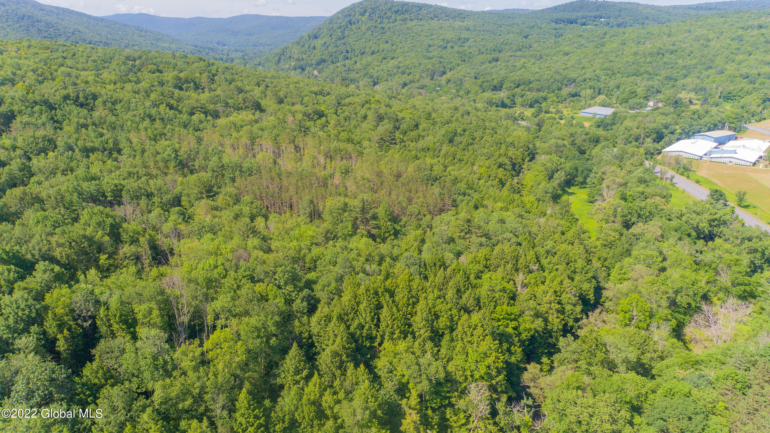 18 Red Mill Road Petersburgh, NY 12138 - Photo 49 of 68 Aerial 16