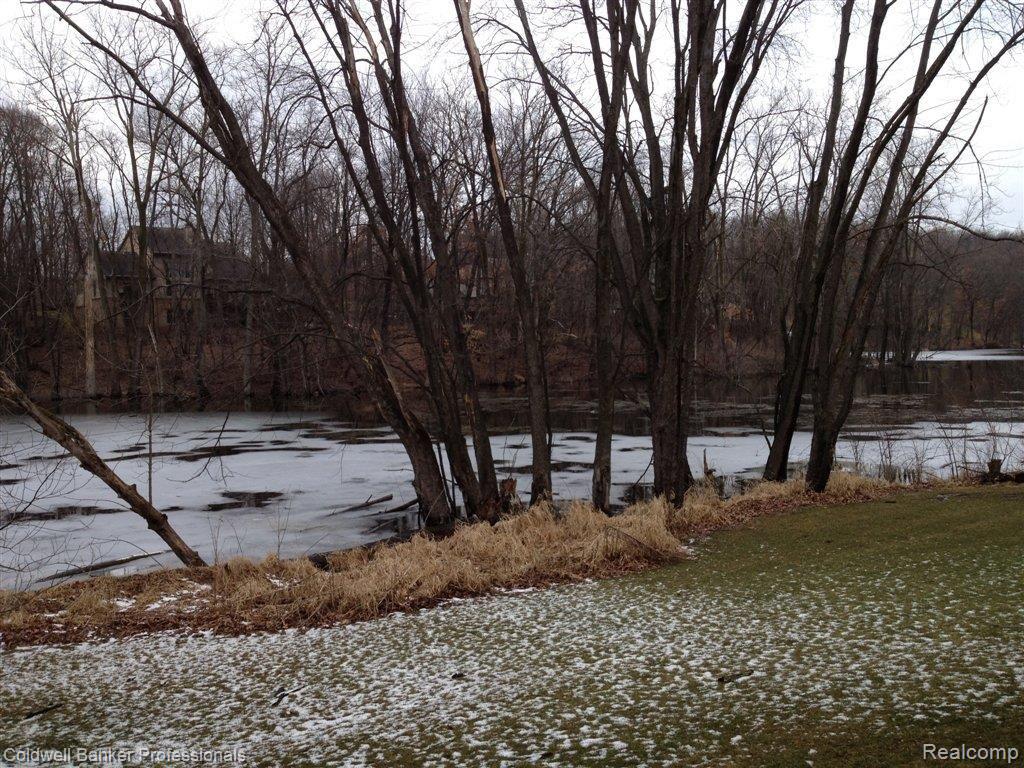 10481 Culver Road Brighton, MI 48114 - Photo 2 of 19 Nature Preserve